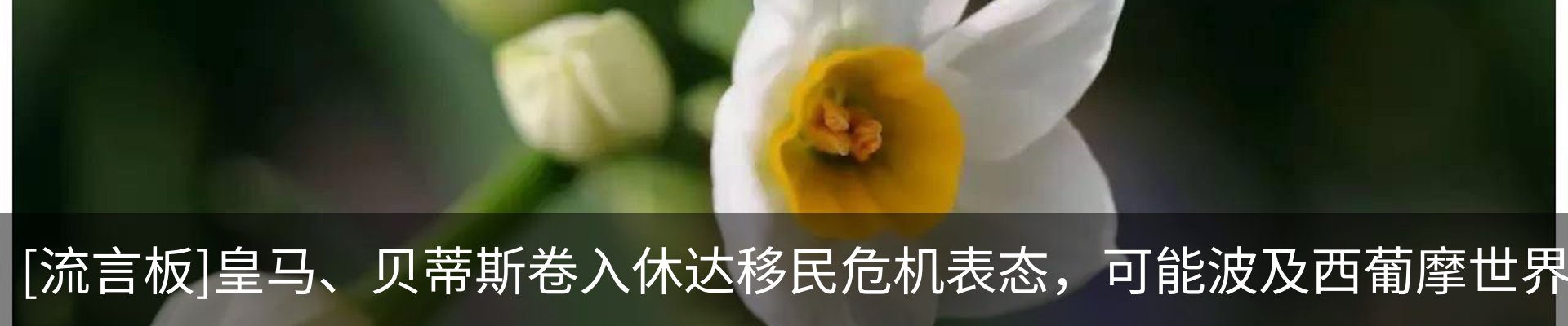 热点资讯